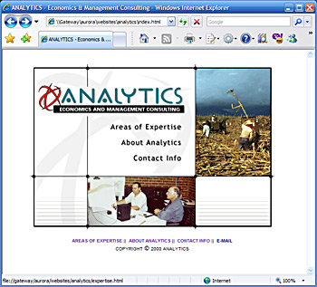 Analytics - Economics and Management Consulting