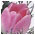 Flower Shoppe